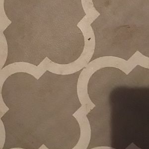 Meet your Posher, Alissa